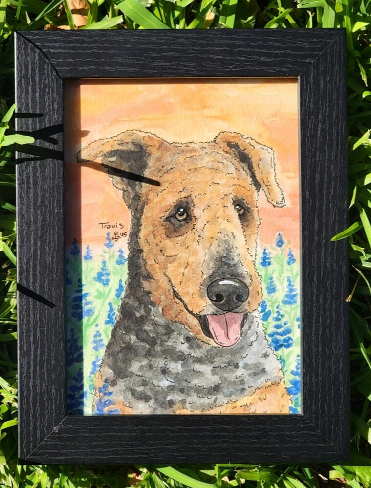 "Travis" 5×7 watercolor &amp; ink